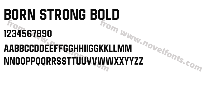Born Strong BoldPreview