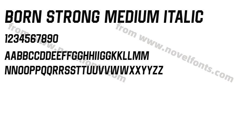 Born Strong Medium ItalicPreview