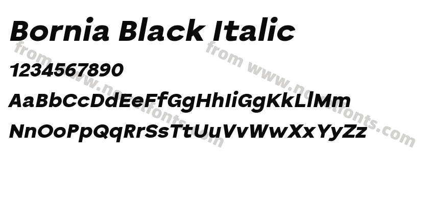 Bornia Black ItalicPreview