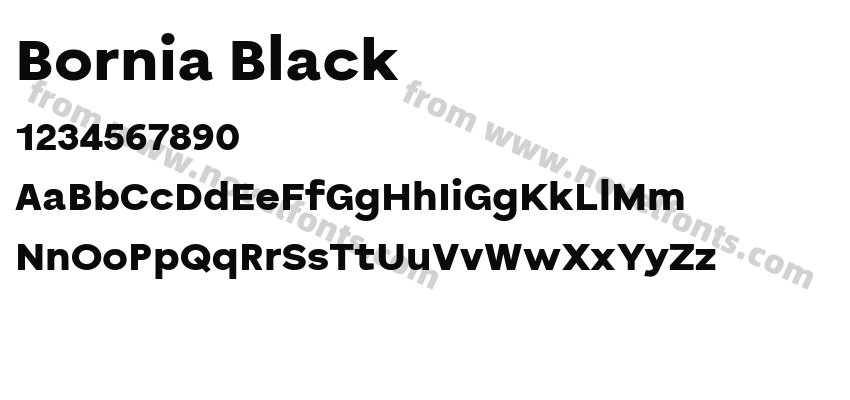 Bornia BlackPreview