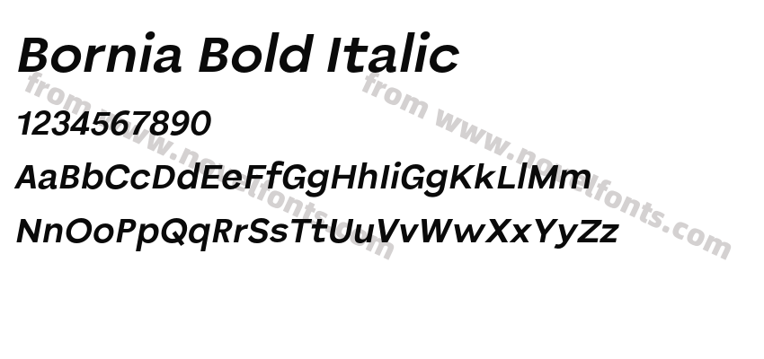 Bornia Bold ItalicPreview