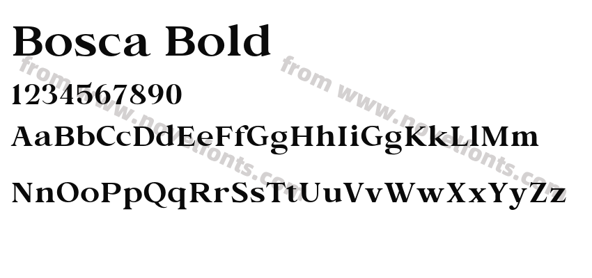 Bosca BoldPreview