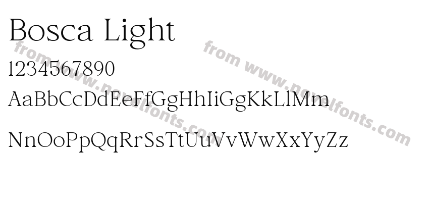 Bosca LightPreview