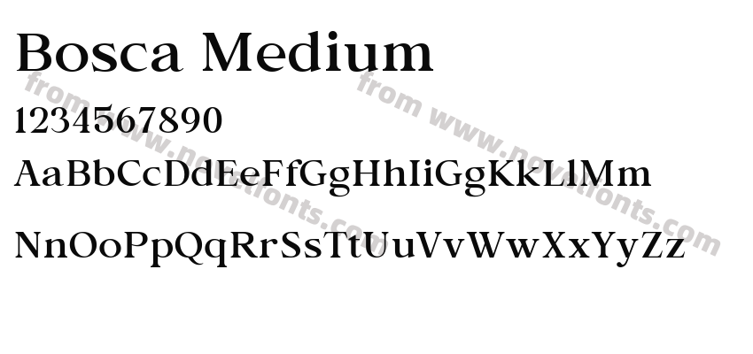 Bosca MediumPreview