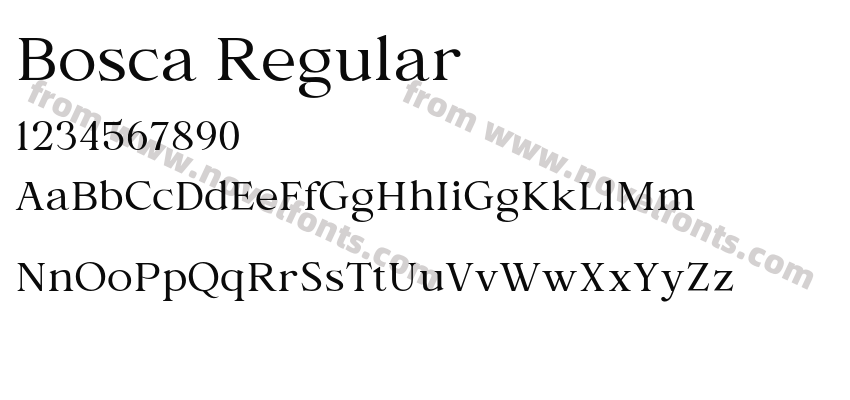 Bosca RegularPreview
