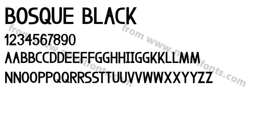 Bosque BlackPreview