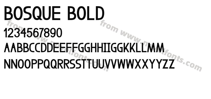 Bosque BoldPreview