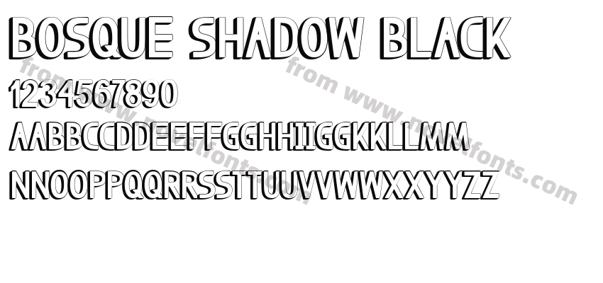 Bosque Shadow BlackPreview