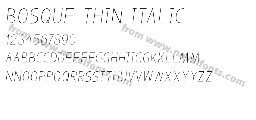 Bosque Thin ItalicPreview