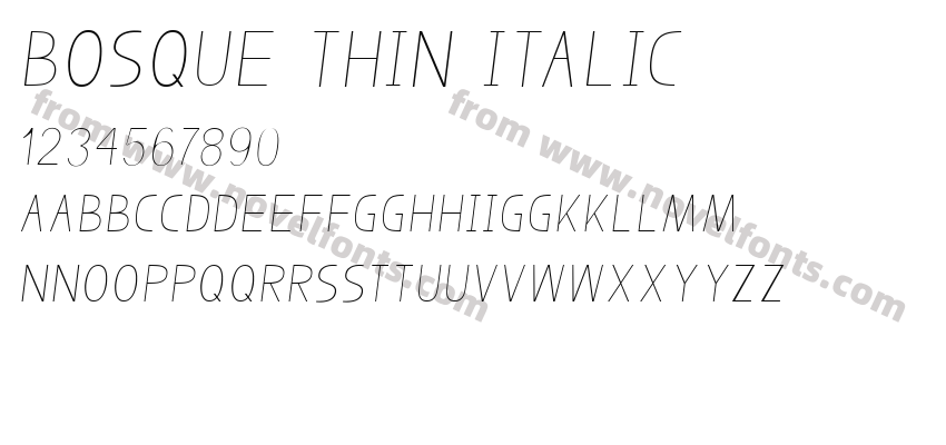 Bosque Thin ItalicPreview