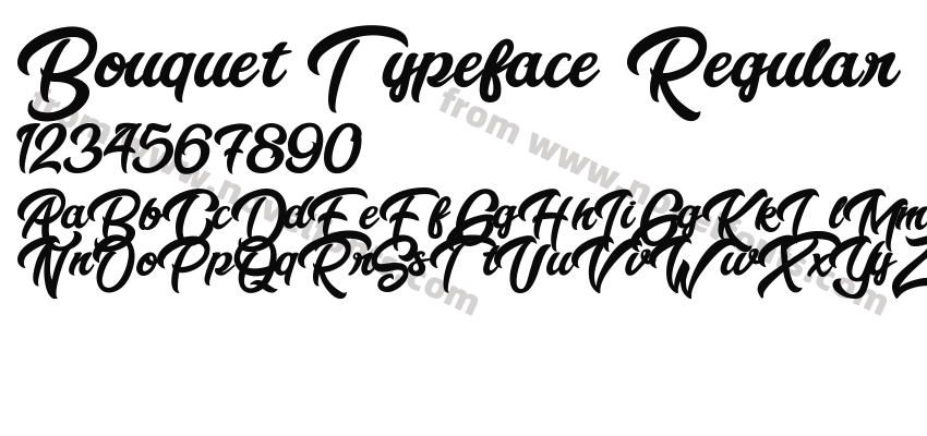 Bouquet Typeface RegularPreview