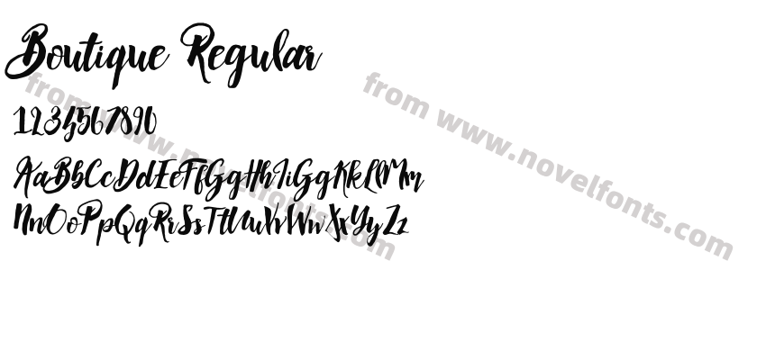 Boutique RegularPreview