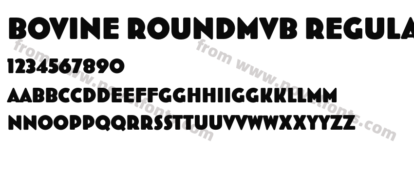 Bovine RoundMVB RegularPreview