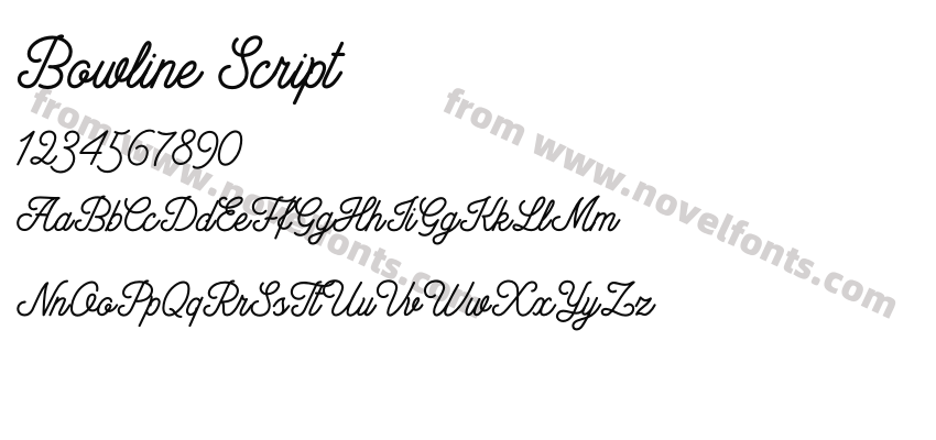 Bowline ScriptPreview