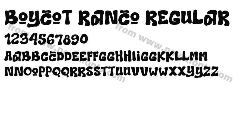 Boycot Ranco RegularPreview