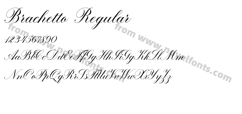 Brachetto RegularPreview