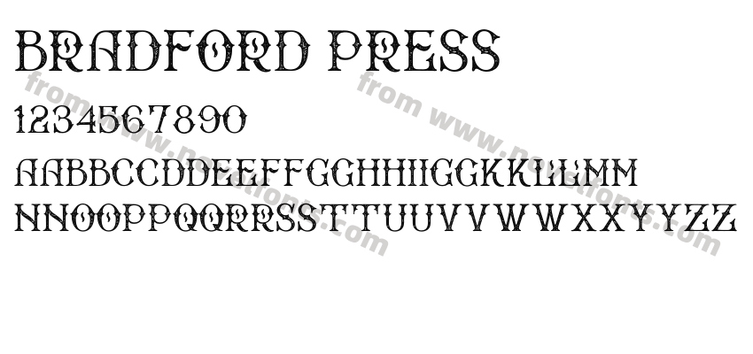 Bradford PressPreview