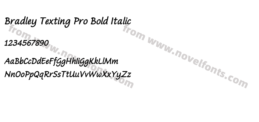 Bradley Texting Pro Bold ItalicPreview