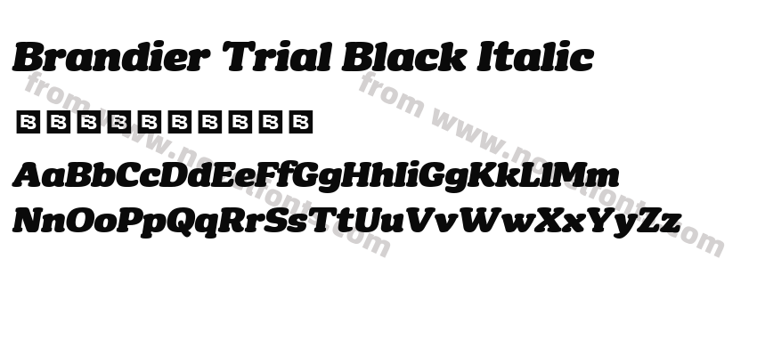 Brandier Trial Black ItalicPreview