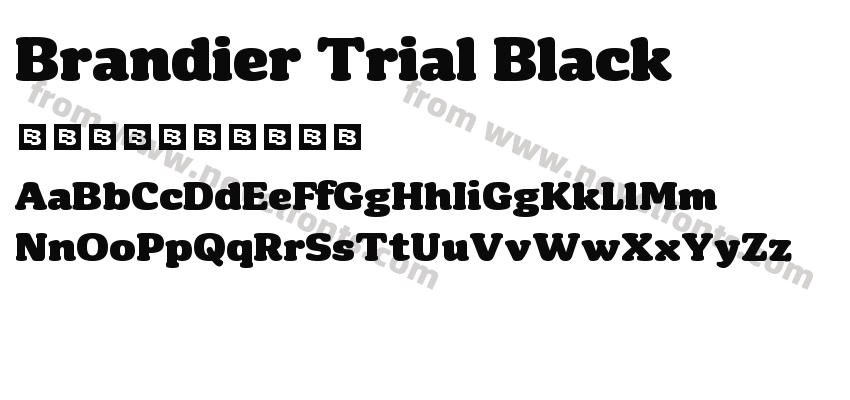 Brandier Trial BlackPreview
