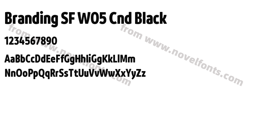 Branding SF W05 Cnd BlackPreview