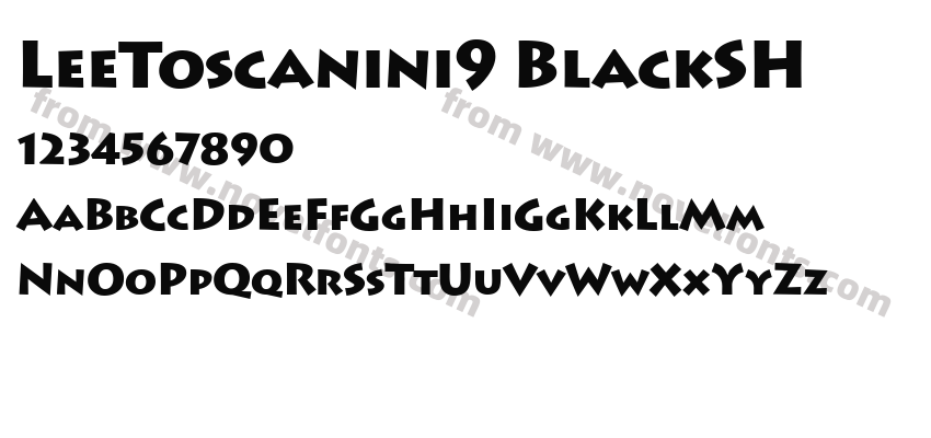 LeeToscanini9 BlackSHPreview