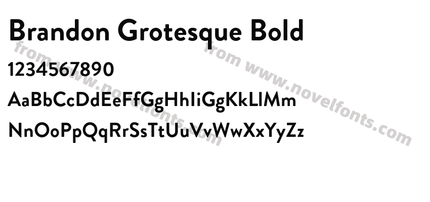 Brandon Grotesque BoldPreview