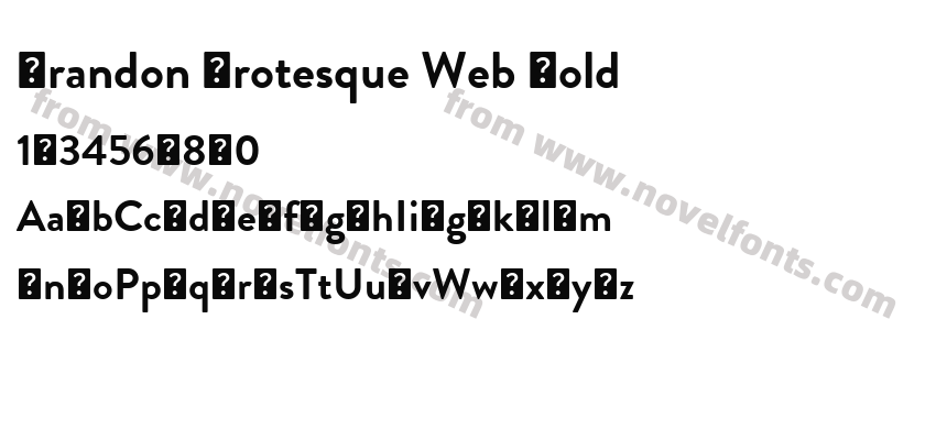Brandon Grotesque Web BoldPreview