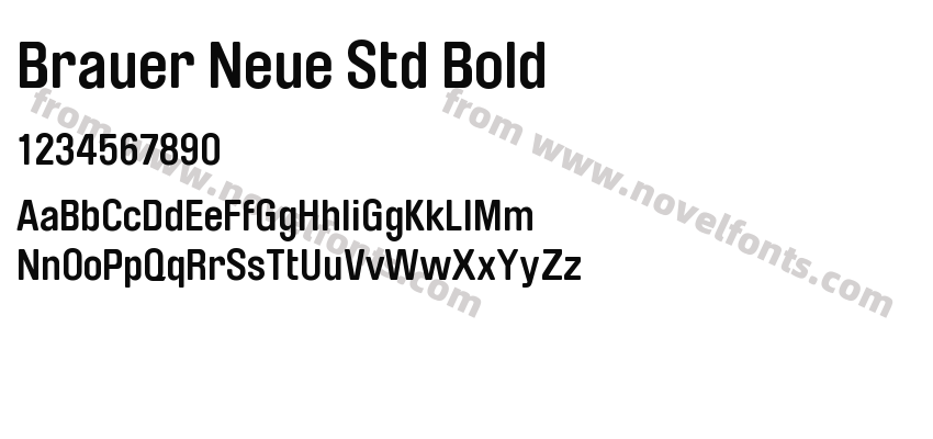 Brauer Neue Std BoldPreview
