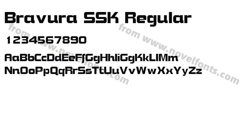 Bravura SSK RegularPreview