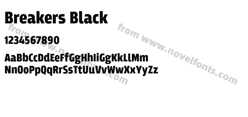 Breakers BlackPreview