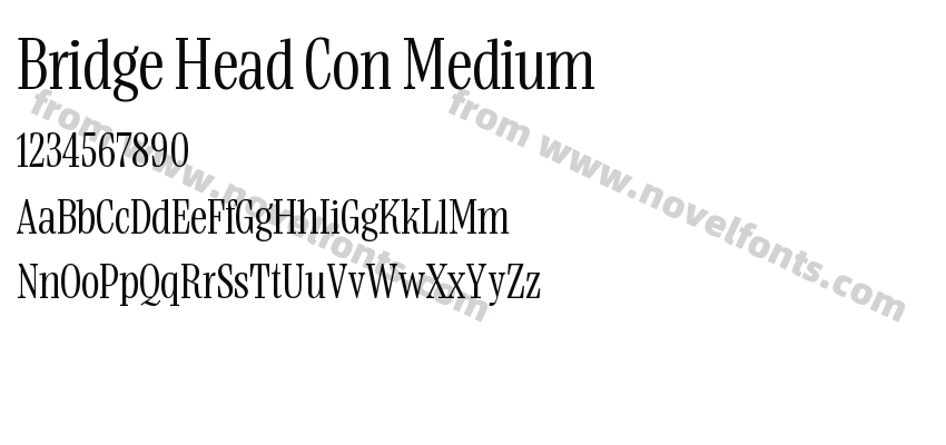 Bridge Head Con MediumPreview
