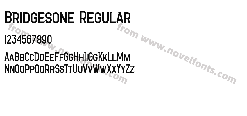 Bridgesone RegularPreview