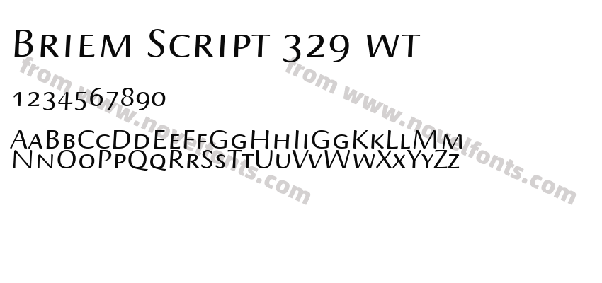 Briem Script 329 wtPreview