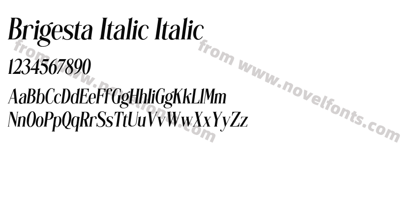 Brigesta Italic ItalicPreview