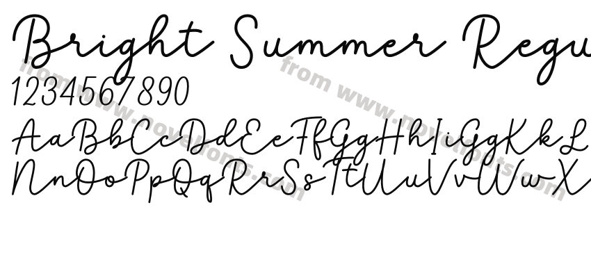 Bright Summer RegularPreview