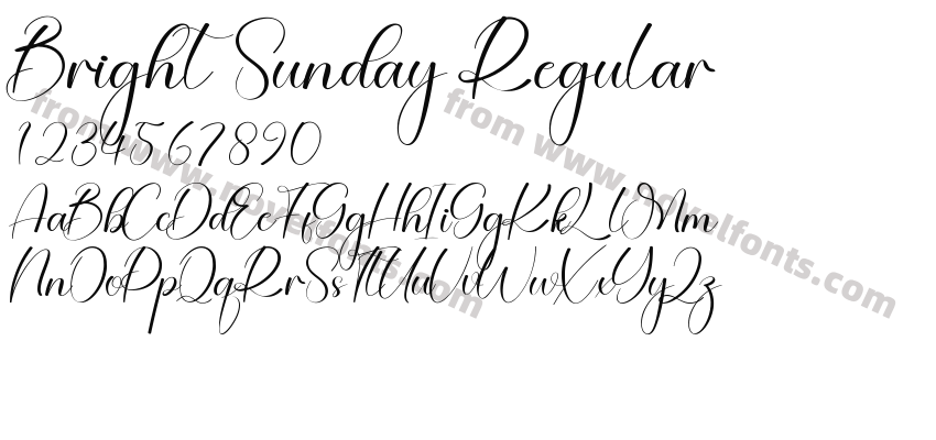 Bright Sunday RegularPreview
