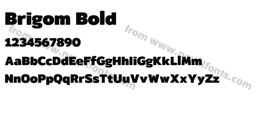 Brigom BoldPreview