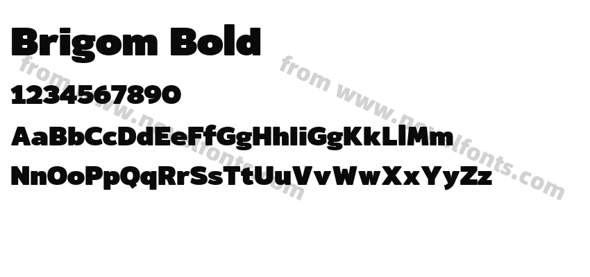 Brigom BoldPreview