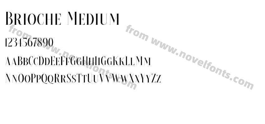 Brioche MediumPreview