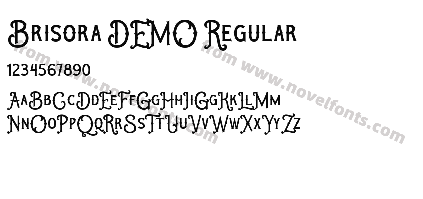 Brisora DEMO RegularPreview