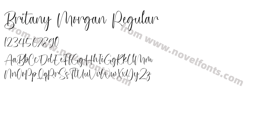 Britany Morgan RegularPreview