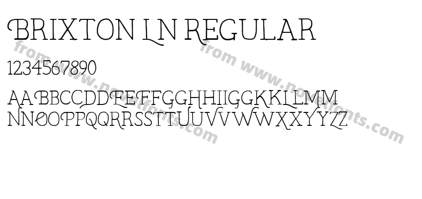 Brixton Ln RegularPreview