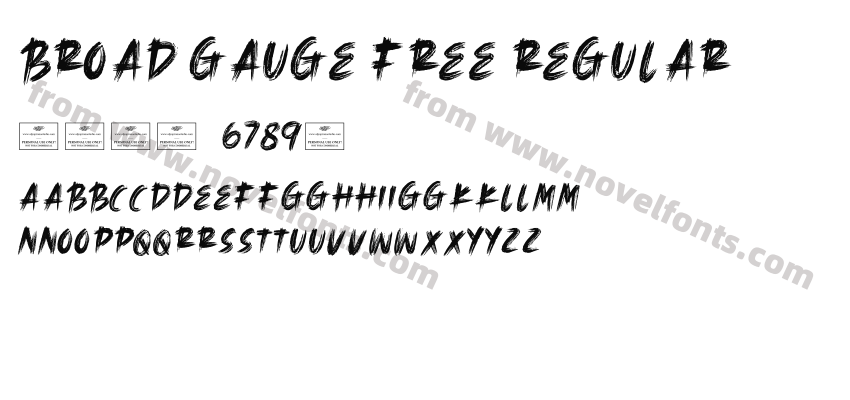 Broad Gauge Free RegularPreview