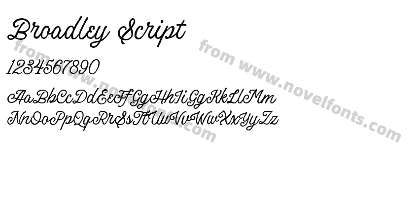 Broadley ScriptPreview