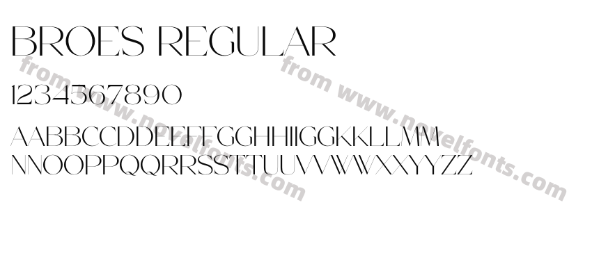 Broes RegularPreview