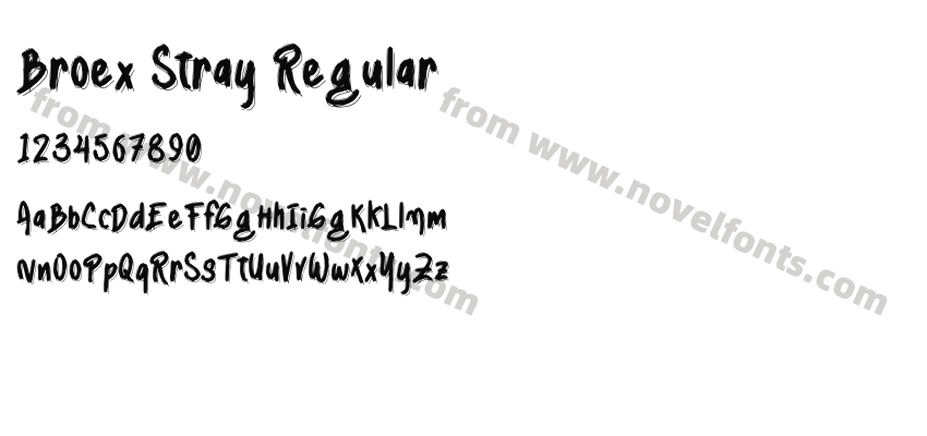 Broex Stray RegularPreview
