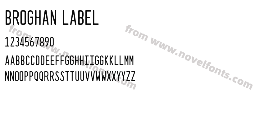 Broghan LabelPreview