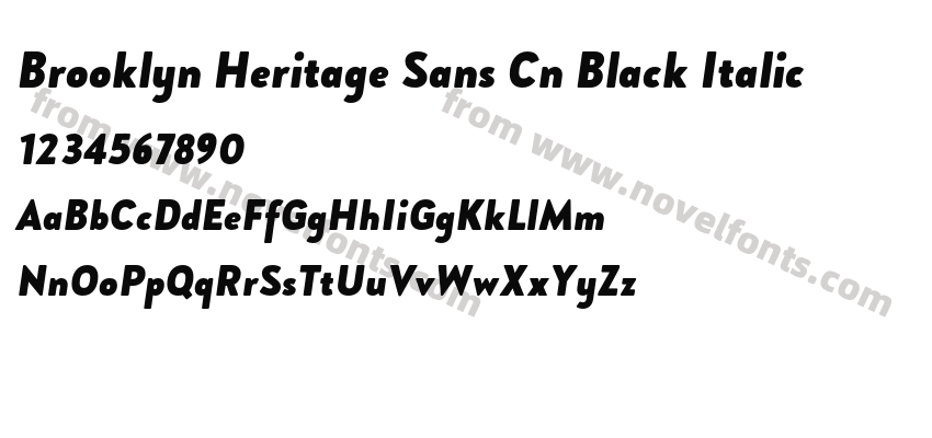Brooklyn Heritage Sans Cn Black ItalicPreview
