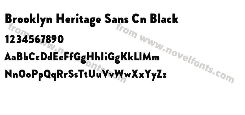 Brooklyn Heritage Sans Cn BlackPreview
